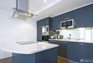 冷色调敞开式厨房橱柜颜色效果图片