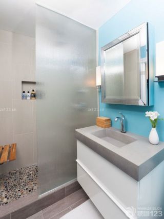 小型浴室磨砂玻璃隔断装修效果图欣赏