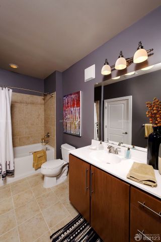 混搭设计小户型室内卫生间浴室装修图片大全