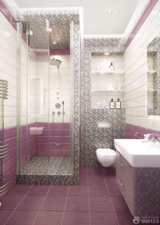 唯美小户型卫生间紫色地砖装饰