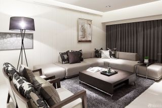 现代小客厅转角沙发装修效果图片