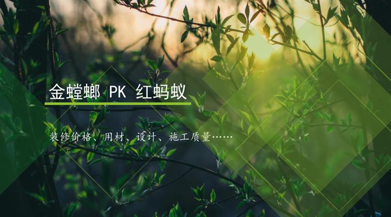 金螳螂和红蚂蚁家装哪个好？红蚂蚁装修pk金螳螂