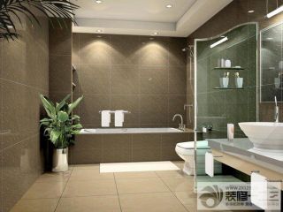 家装卫生间淋浴房装修案例