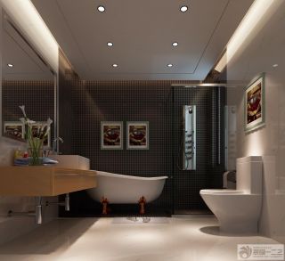 经典卫生间白色浴缸设计图片 