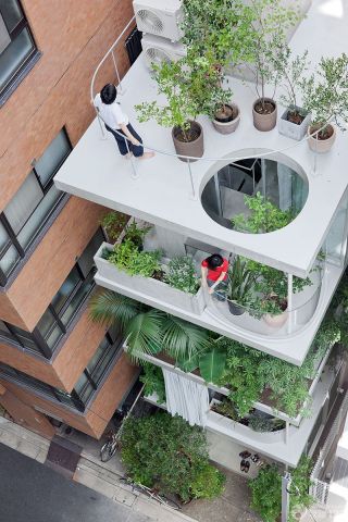 通透垂直创意屋顶花园住宅装修效果图片