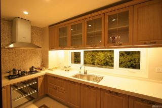 最新一室一厅厨房装修效果图片大全