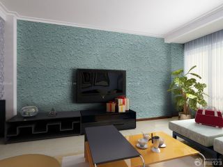 最新简装两室一厅硅藻泥电视背景墙设计样板大全