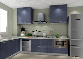 小户型小厨房橱柜装修效果图欣赏