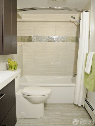 小户型卫生间白色浴缸装修效果图大全2023图片 