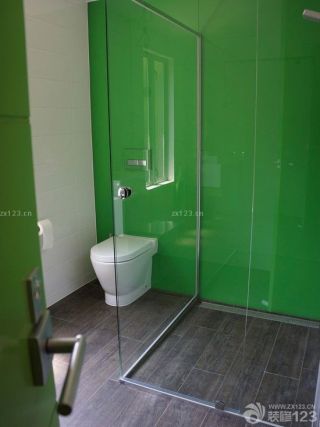 家装简约小户型卫生间玻璃淋浴间装修效果图大全2023图片