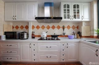 最新一室一厅厨房实木橱柜装修样板间