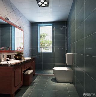厕所青色墙面瓷砖装修效果图片大全