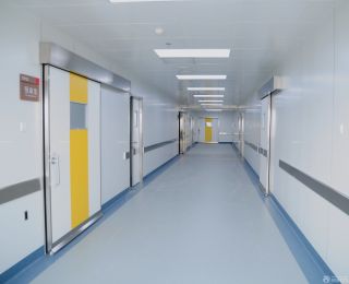 最新现代医院室内门装修效果图片