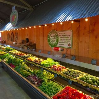 蔬果超市墙饰板装修效果图片