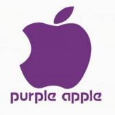 山西紫苹果装饰有限公司