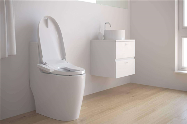 卫生间马桶装修