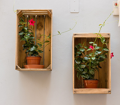 金华家装之壁挂花盆