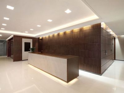 办公空间-650㎡-简约风效果图