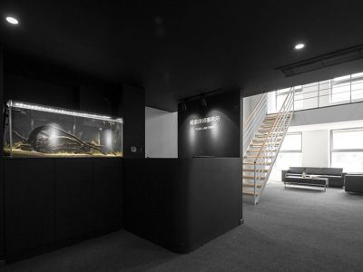 律师事务所-1000㎡-极简风效果图