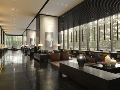 滨江国际酒店-3000㎡-新中式风效果图