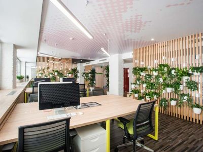 办公室-200㎡-简约风效果图