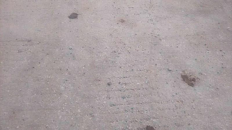 20210527105511_45265.jpg 20210527105511_45265.jpg